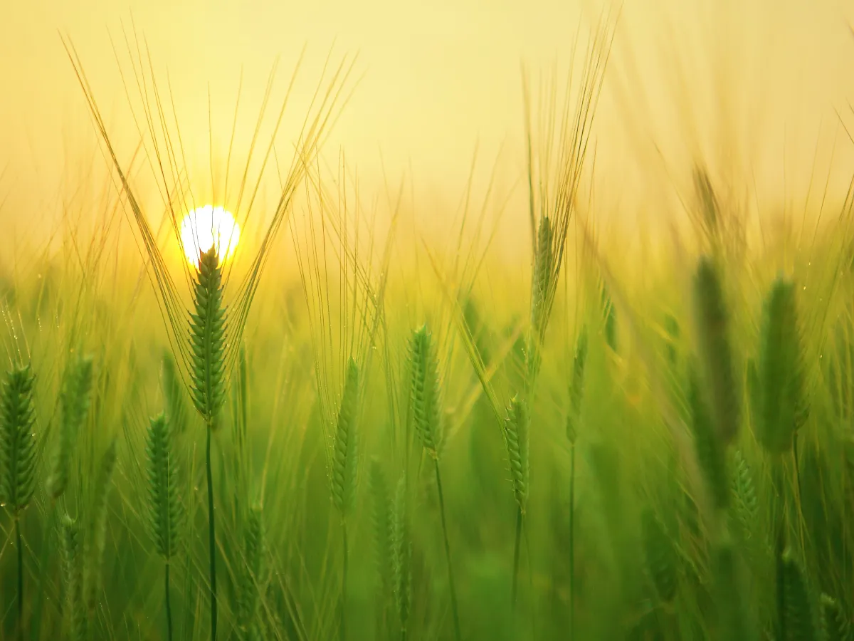 Pest Management Educational Series