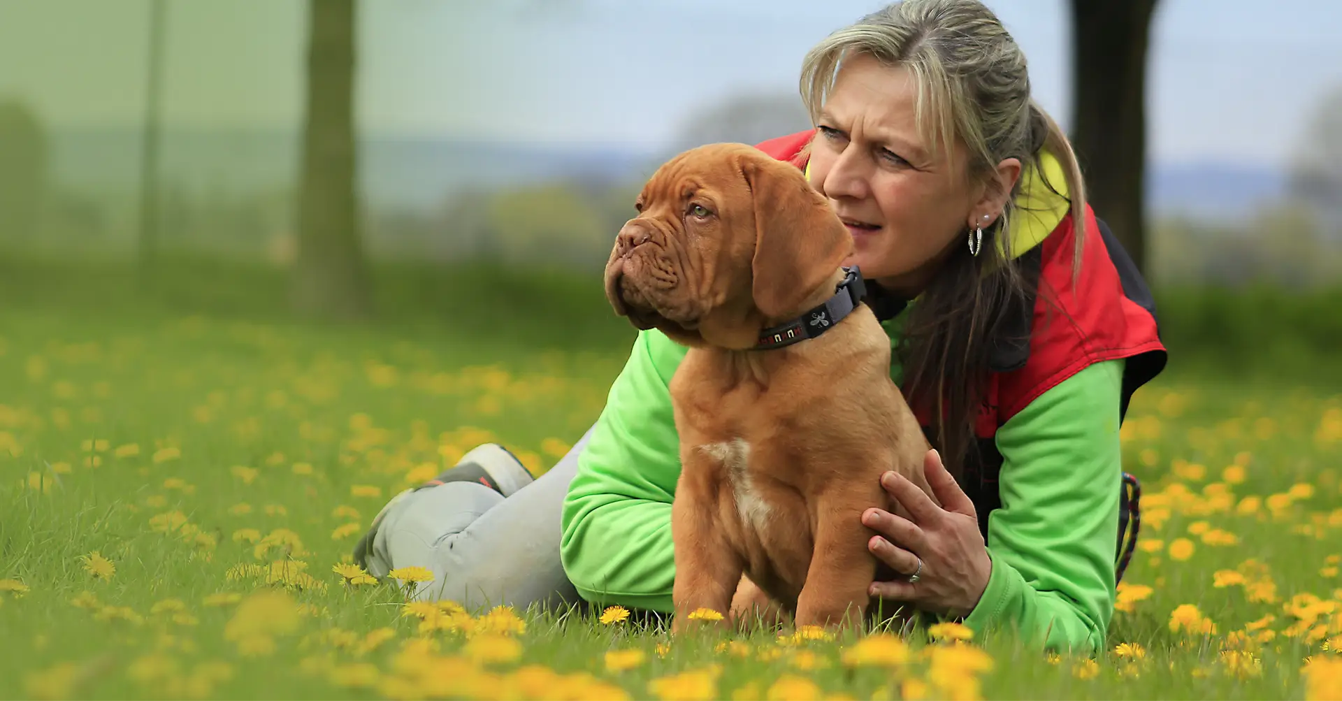 Suspendisse maximus lacus ac dui sodales efficitur