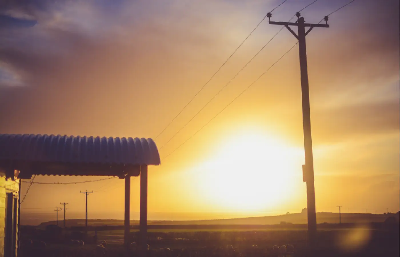 Choosing the Right Solar Panel for Your Home