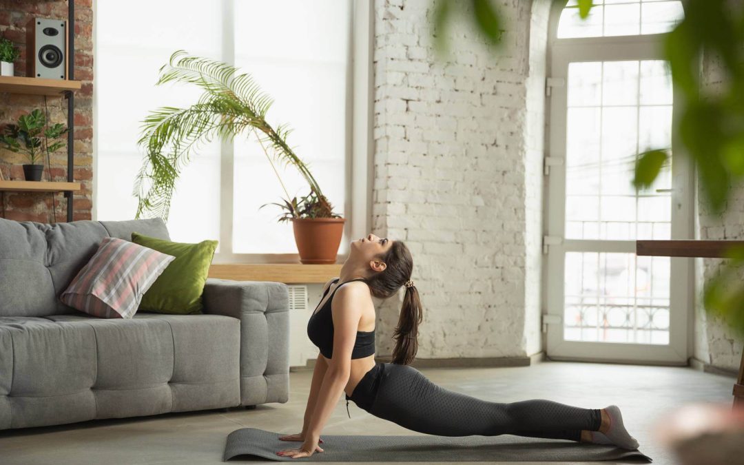 Morbi euismod pulvinar ipsum nec auctor